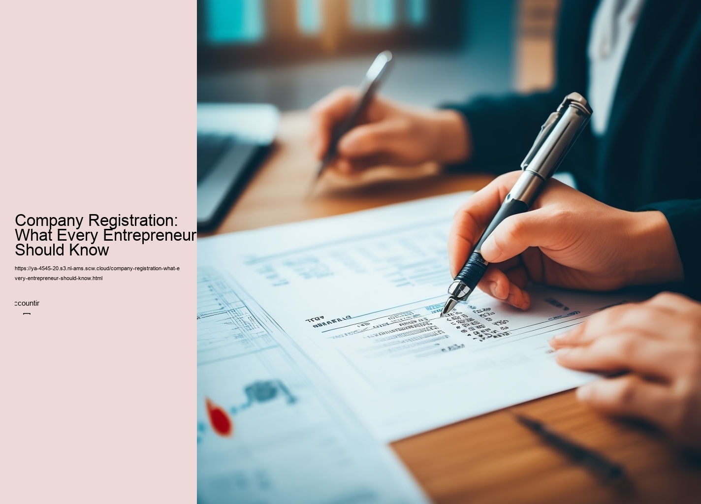 Company Registration: What Every Entrepreneur Should Know